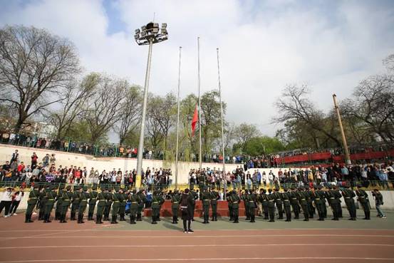 图片8